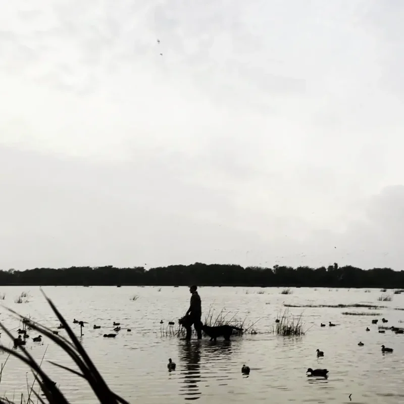 Video Nov 03 2024, 6 25 51 AM-screenshot1-sqcrop1